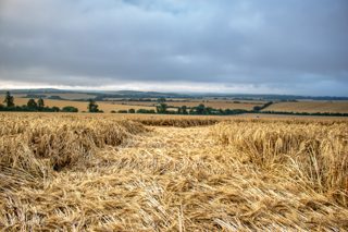 ground of Fonthill Bishop from ccc