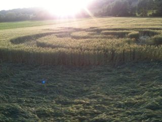 ground of Rauwiller from ccc