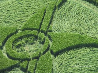 aerial of Silbury Hill from ccc