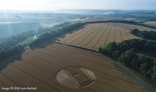 aerial of Gurston Ashes from ccc