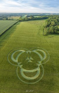 aerial of Long Wood