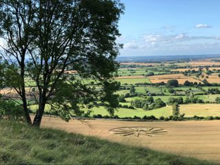 ground of Westbury White Horse from ccc