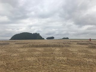 other of Hackpen Hill from ccc