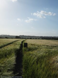 ground of Hackpen HIll from ccc