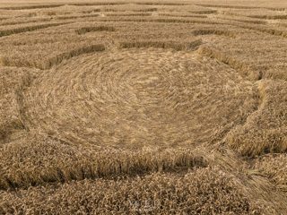 ground of Roundway Hill from ccc