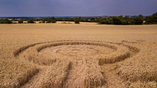 ground of Harbury from ccc