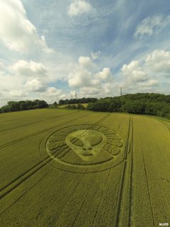 aerial of Reigate