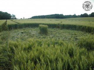 ground of Cellé from ccc