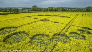 aerial of Willoughby Hedge