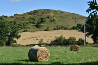 ground of Cley Hill from ccc
