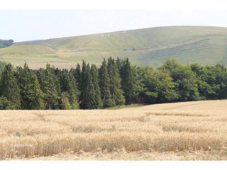 ground of Woolstone from ccc