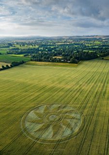 aerial of Etchilhampton