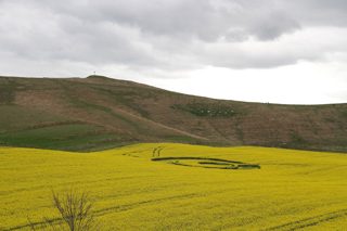 ground of Cherhill from ccc