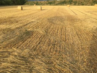 other of Saint Denis en Bugey from ccc