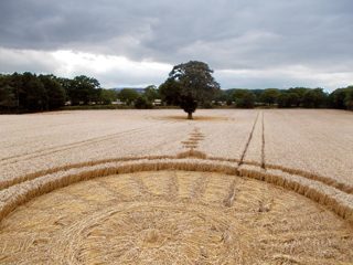 ground of Wotton Wawen from ccc