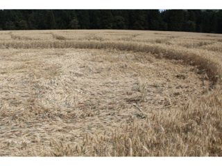 ground of Woolstone from ccc