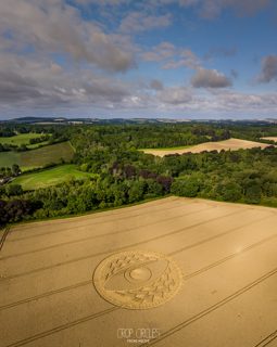 aerial of West Meon from ccc