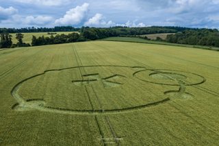 aerial of Wilton