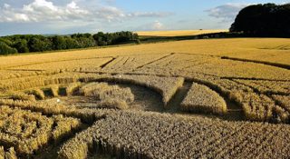 ground of Barbury Castle from ccc