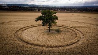 aerial of Potterne from ccc