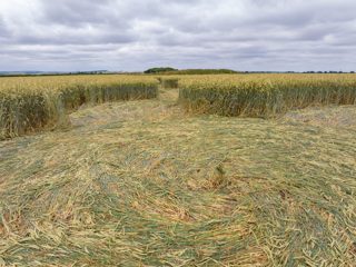 ground of Stonehenge from ccc