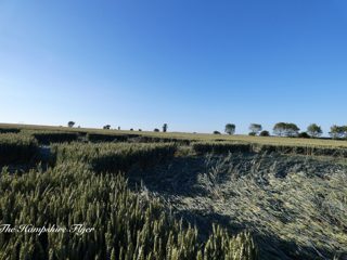 ground of Danebury Hill from ccc