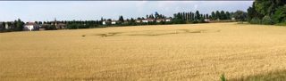 ground of Pontecurone from ccc