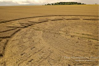 ground of Roundway Hill from ccc