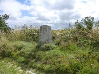 ground of Etchilhampton from ccc