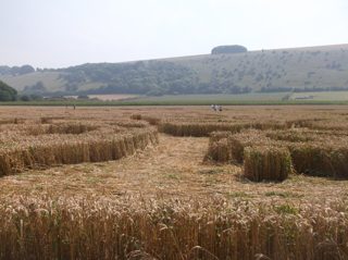 ground of Ansty from ccc