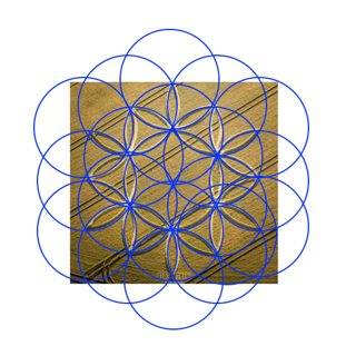 diagram of Norton Bavant from ccc