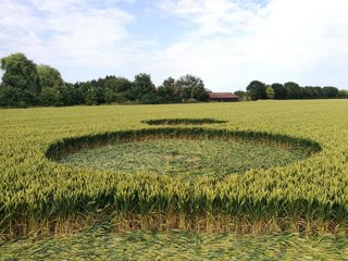 ground of Sutton Hall from ccc
