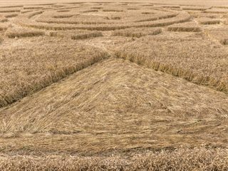 ground of Roundway Hill from ccc