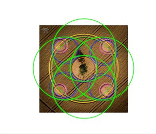 diagram of Potterne from ccc