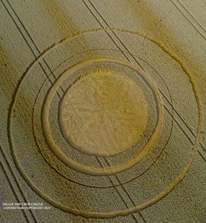 aerial of Tichbourne