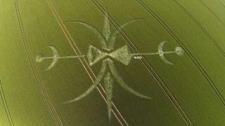 aerial of Stoford