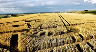 ground of Barbury Castle from ccc