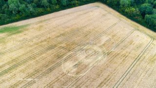 aerial of Norridge Wood