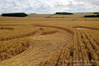 ground of Yarnbury Castle from ccc