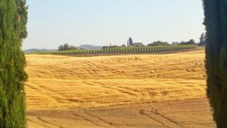 aerial of Castelnuovo Berardenga