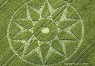 aerial of Willoughboy Hedge from ccc