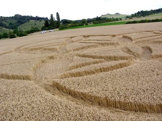 ground of Dornberg / Zierenberg