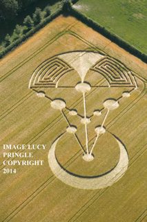 aerial of Badbury Rings from ccc