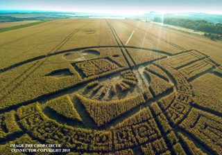 ground of Barbury Castle from ccc