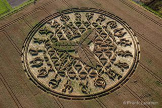aerial of Ansty