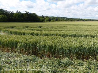 ground of Tichborne from ccc