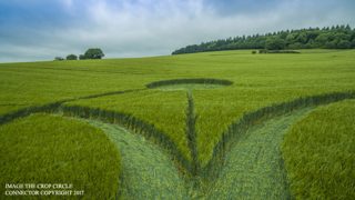 ground of Chicklade from ccc