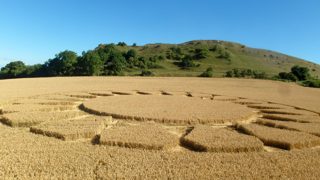 ground of Cley Hill from ccc