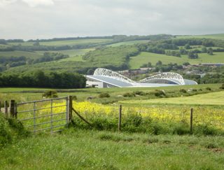 other of Falmer from ccc