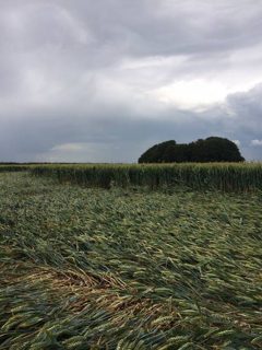 ground of Hackpen Hill from ccc